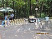 Албум 2010